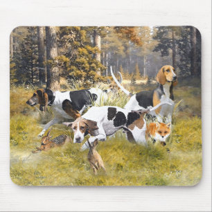 Foxhound Musmatta