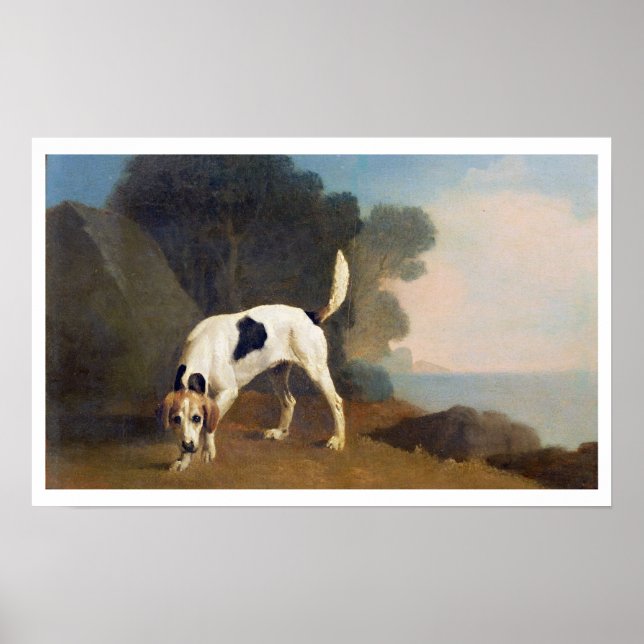 Foxhound on the Scent, c.1760 (olja på pappert inl Poster (Framsidan)