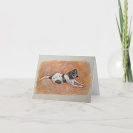 Foxhound Terrier Tack Kort