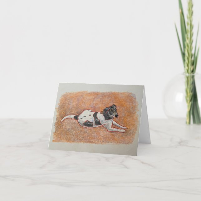 Foxhound Terrier Tack Kort (Framsida)