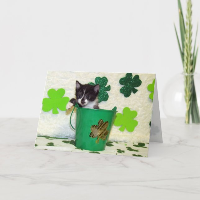 Foxi Moxi - drottning av St. Patrick's Day Card Kort (Framsida)