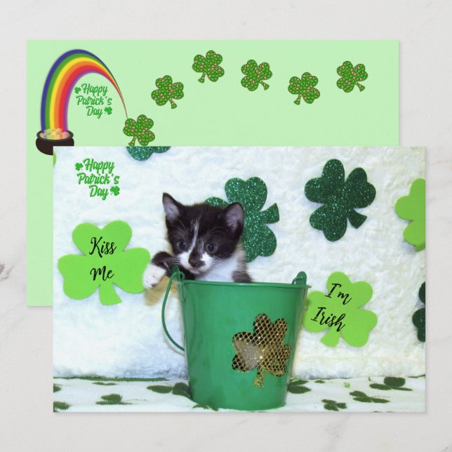 Foxi Moxis katt / Kitten St. Patrick's Day (Fram/baksida)