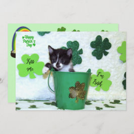 Foxi Moxis katt / Kitten St. Patrick's Day