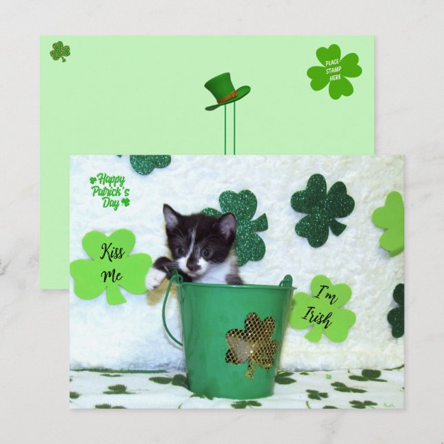 Foxie Cat St. Patrick's Day Card Vykort (Fram/baksida)