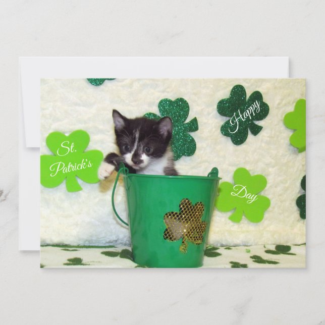Foxi's St. Patrick's Day Cat/ Kitten - Flat Card Julkort (Framsida)