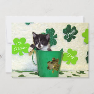 Foxi's St. Patrick's Day Cat/ Kitten - Flat Card Julkort