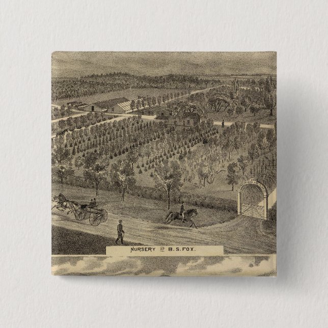 Foxplantor, daghem, fruktodling knapp (Framsida)