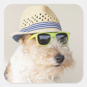 Foxterrier Fyrkantigt Klistermärke