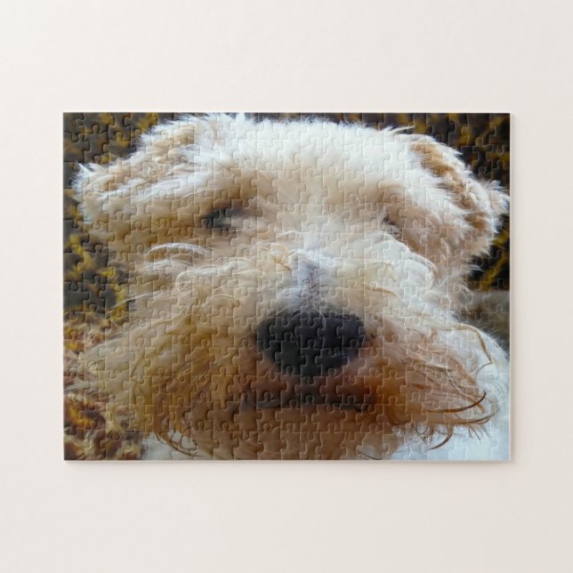 Foxterrier Hund. Pussel (Horisontell)