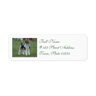 Foxterrier Returadress Etikett