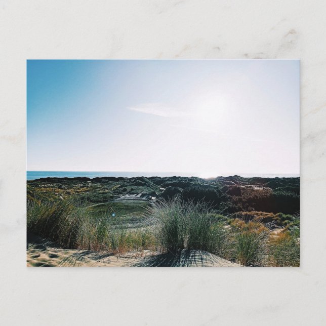 Foxton Beach Dunes Vykort (Framsida)
