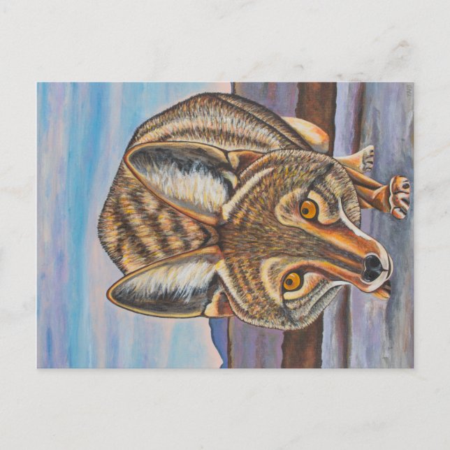 Foxy Coyote Vykort (Framsida)