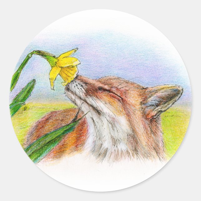 Foxy Runt Klistermärke (Framsida)