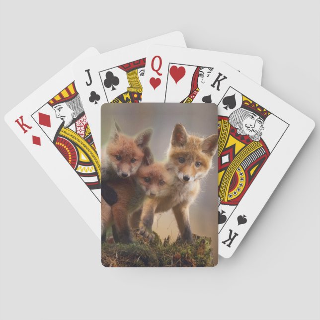 Foxy Triplets Casinokort (Baksidan)