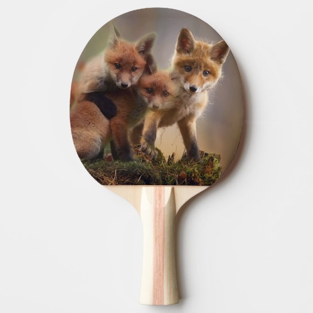 Foxy Tripletter Pingisracket (Framsidan)