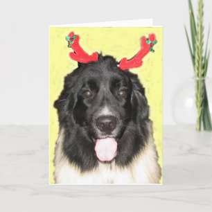 FPG-julafton Newfie Helgkort