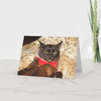 FPG-julaftonBurmese 1 (förbigå), Helgkort