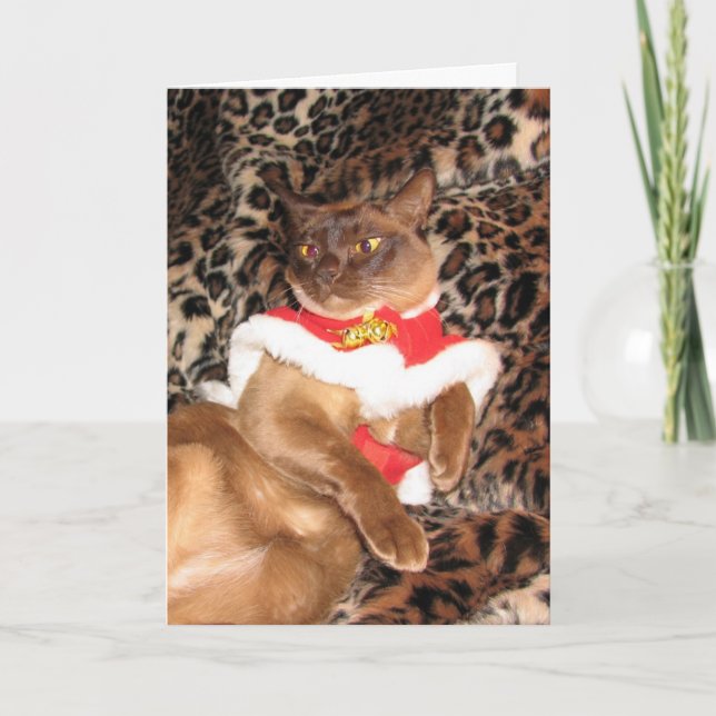 FPG-julaftonBurmese 2 - Helgkort (Framsida)