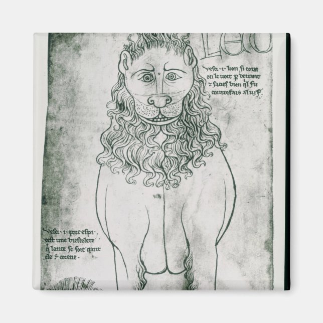 FR 19093 fol.24v Lejon och porcupin Magnet (Framsidan)