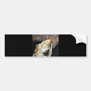 Fracguana Bildekal