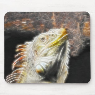 Fracguana Musmatta