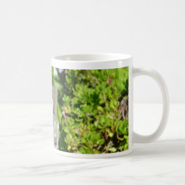Fräck sparv kaffemugg