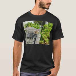 Fräck sparv tee