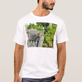 Fräck sparv tee