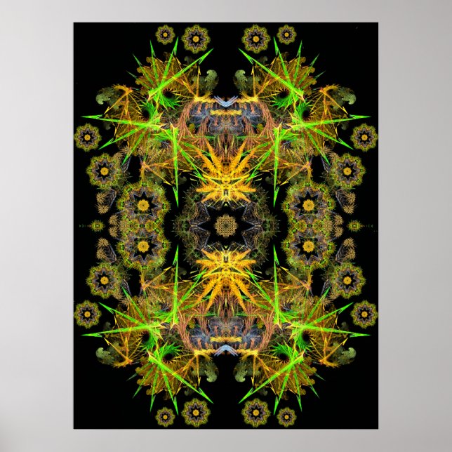 fracktalKan Poster (Framsidan)