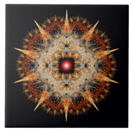 Fractal barbed-stjärna, ornament kakelplatta