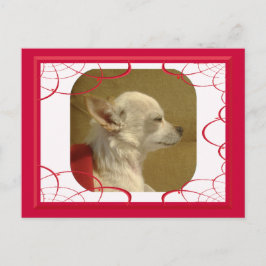 Fractal Chihuahua vycard Vykort