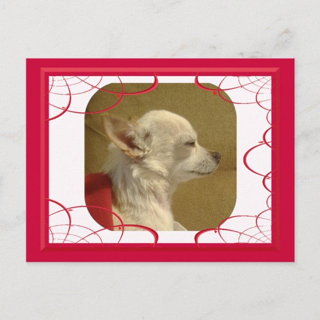Fractal Chihuahua vycard Vykort (Framsida)
