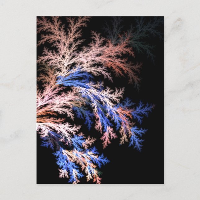 Fractal fern vykort (Framsida)