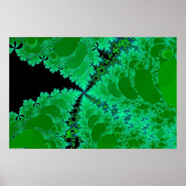 Fractal Flora Poster (Framsidan)