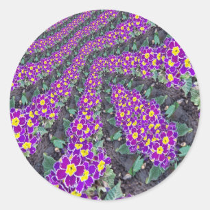 Fractal Flowers Runt Klistermärke