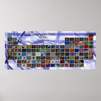 Fractal Periodic Bord Poster