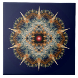 Fractal prickly ornament kakelplatta