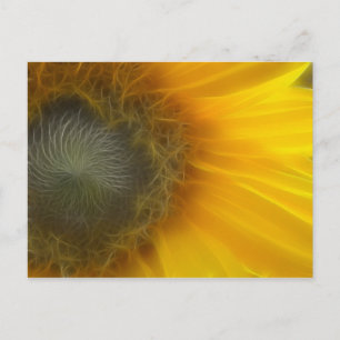 Fractal solros vykort