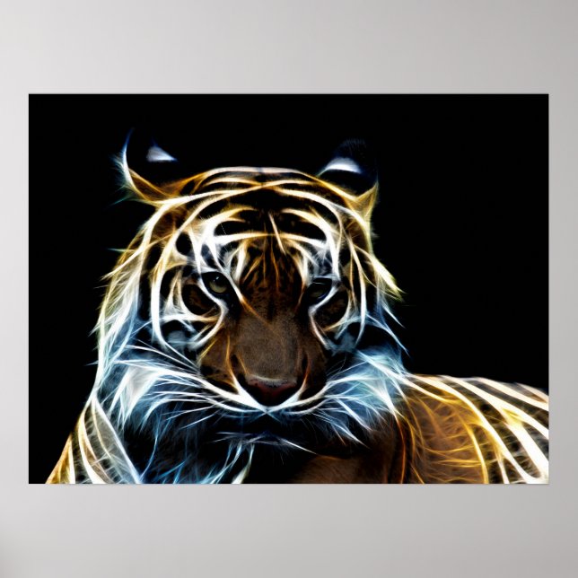 Fractal tiger poster (Framsidan)
