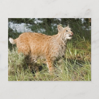 Fractalius Bobcat Vykort