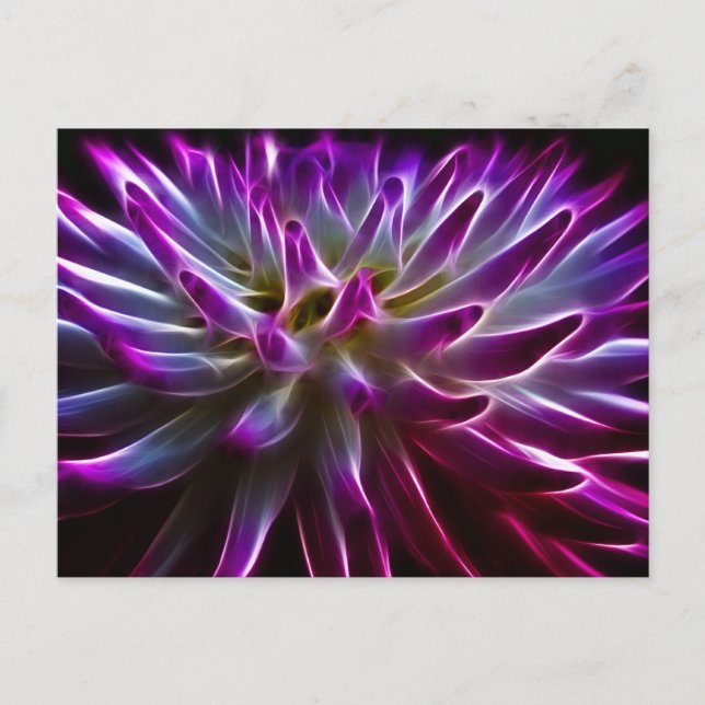 Fractalius Dahlia Vykort (Framsida)
