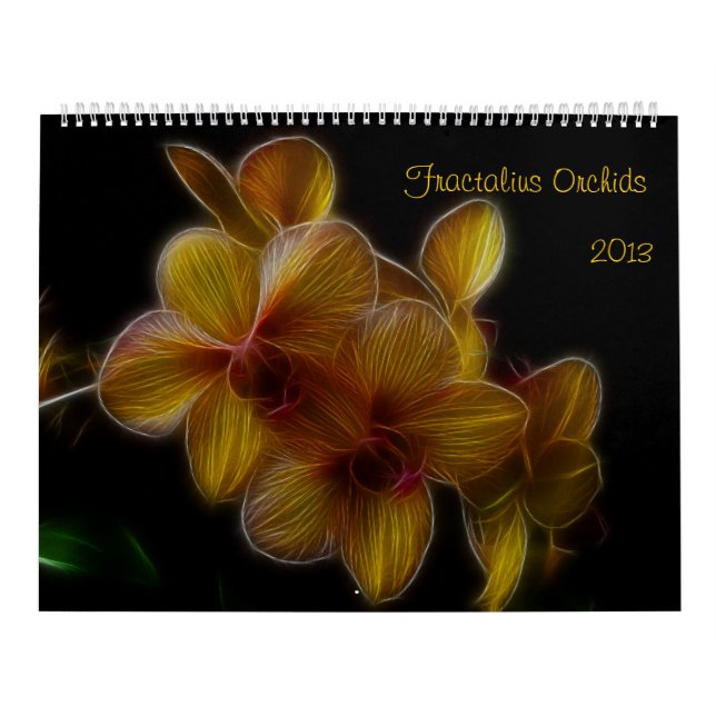 Fractalius Orchids 2012 Kalender (Omslag)