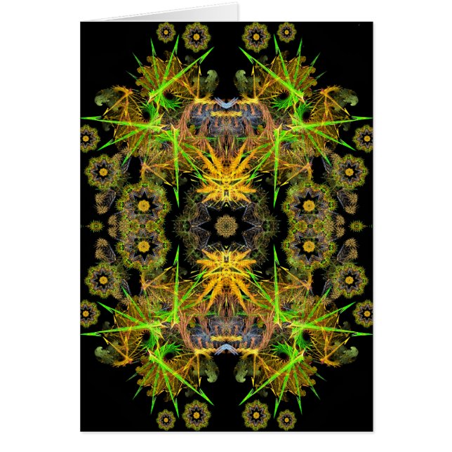 fractalkan kort (Framsidan)