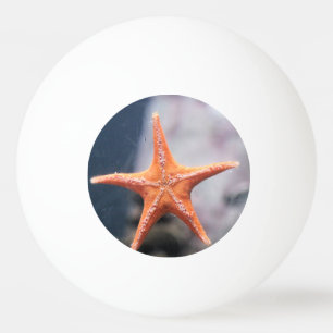 Fråga aldrig om stjärnornas fiskriktning pingisboll