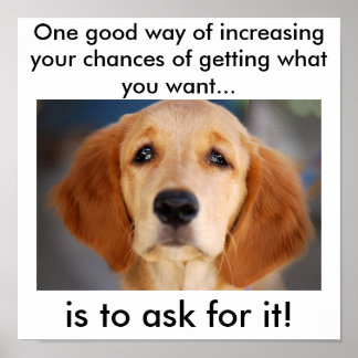 Fråga efter vad du vill ha poster