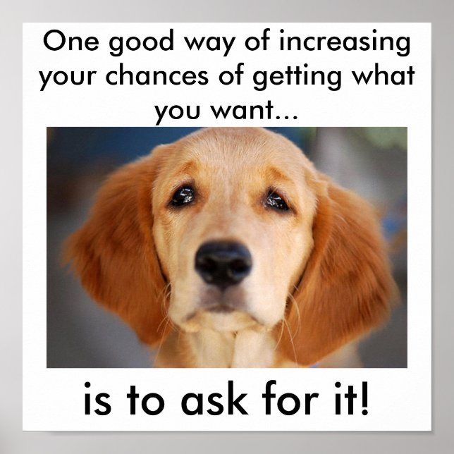 Fråga efter vad du vill ha poster (Framsidan)