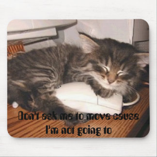 Fråga inte mig att till flyttningen orsaka musmatta