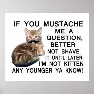 Fråga kattungen med en mustasch en ifrågasätta poster