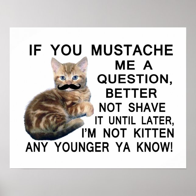 Fråga Kitten med en kräftvärk en fråga Poster (Framsidan)