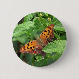 Fråga Mark Butterfly från Lantana Knapp